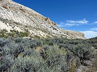 Fosile butte (26).JPG